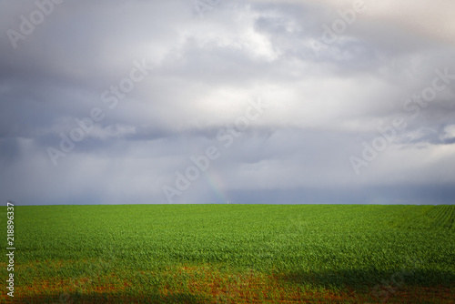 Australian countryside landscape sunny green fields farm land with clouds