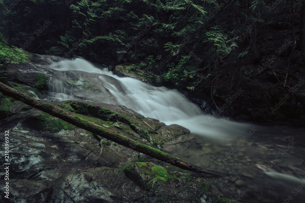 Fototapeta premium Kennedy Stream