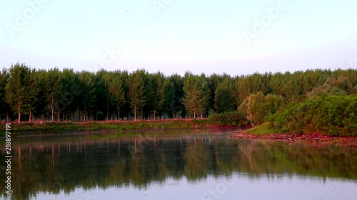 Early Sunday fishing on Tamis river photo