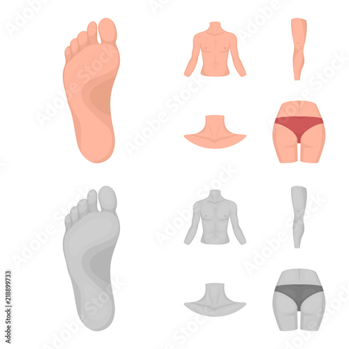 Torso, leg, neck and buttocks. Body parts set collection icons in cartoon,monochrome style vector symbol stock illustration web.