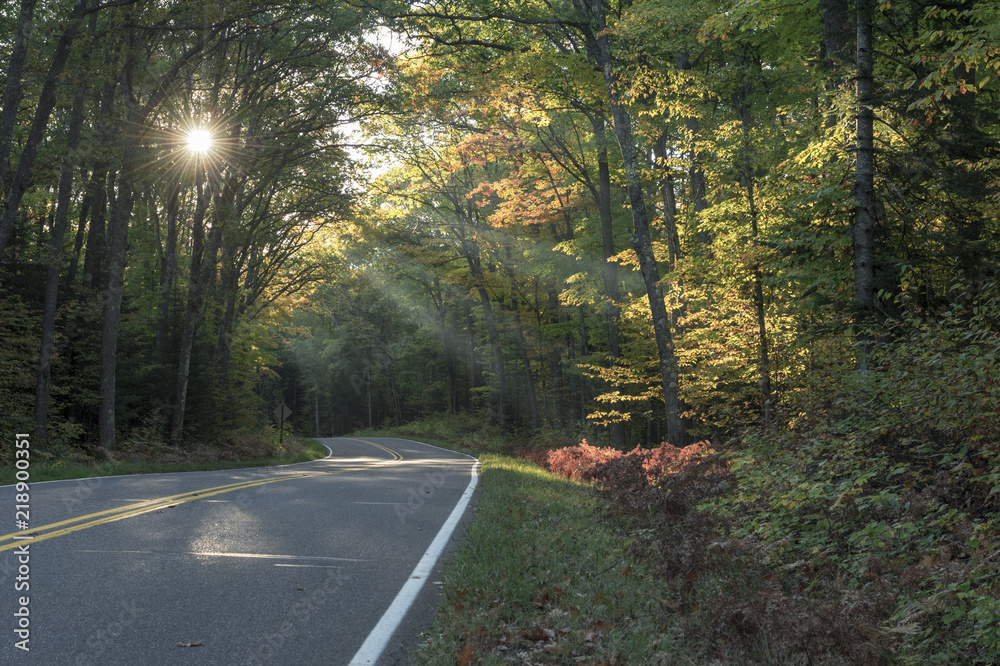 Obraz premium Autumn Sunbeams