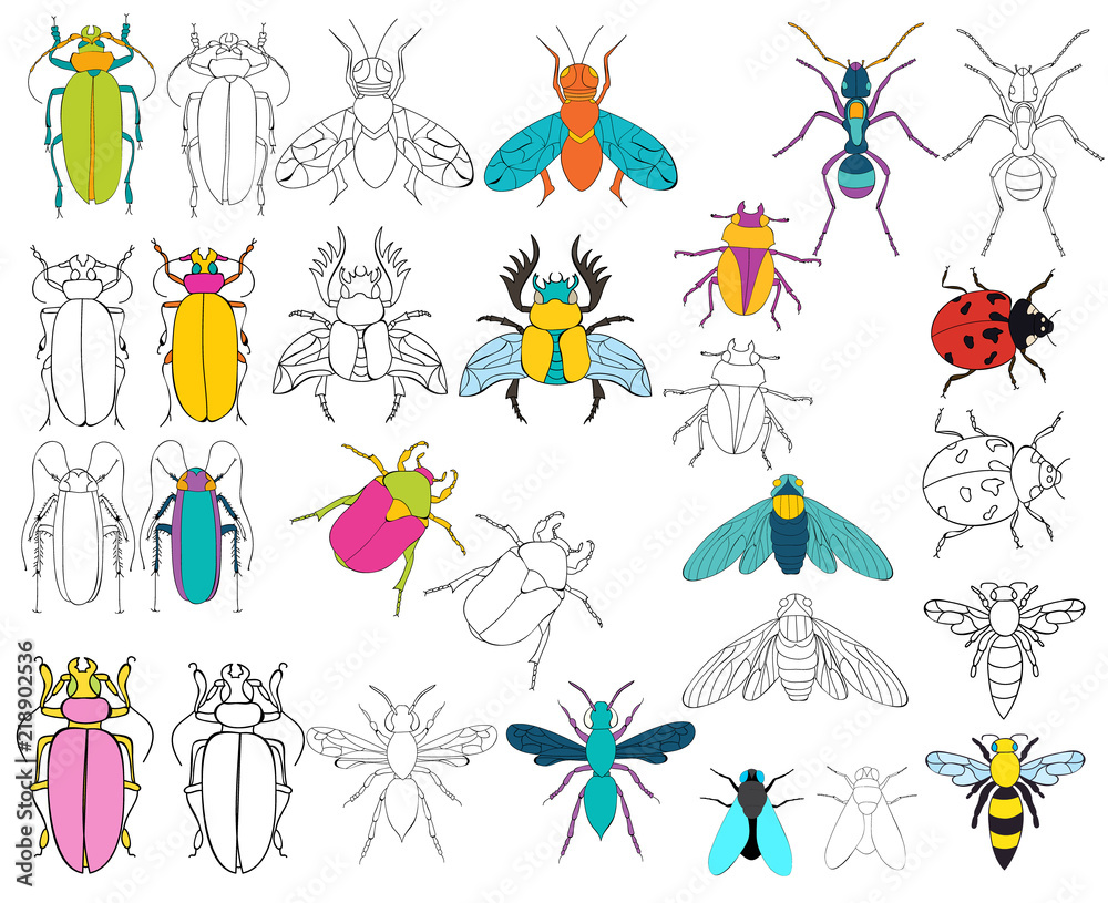 insect book coloring, set insect book coloring, set
