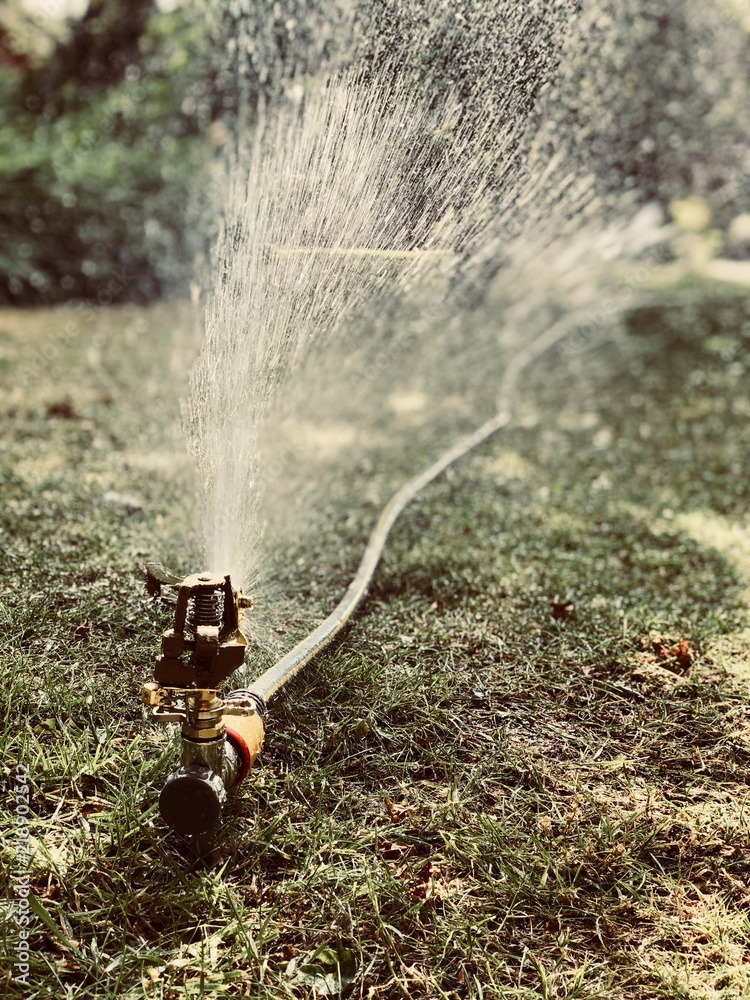 Naklejka premium Sprinkling in the sun