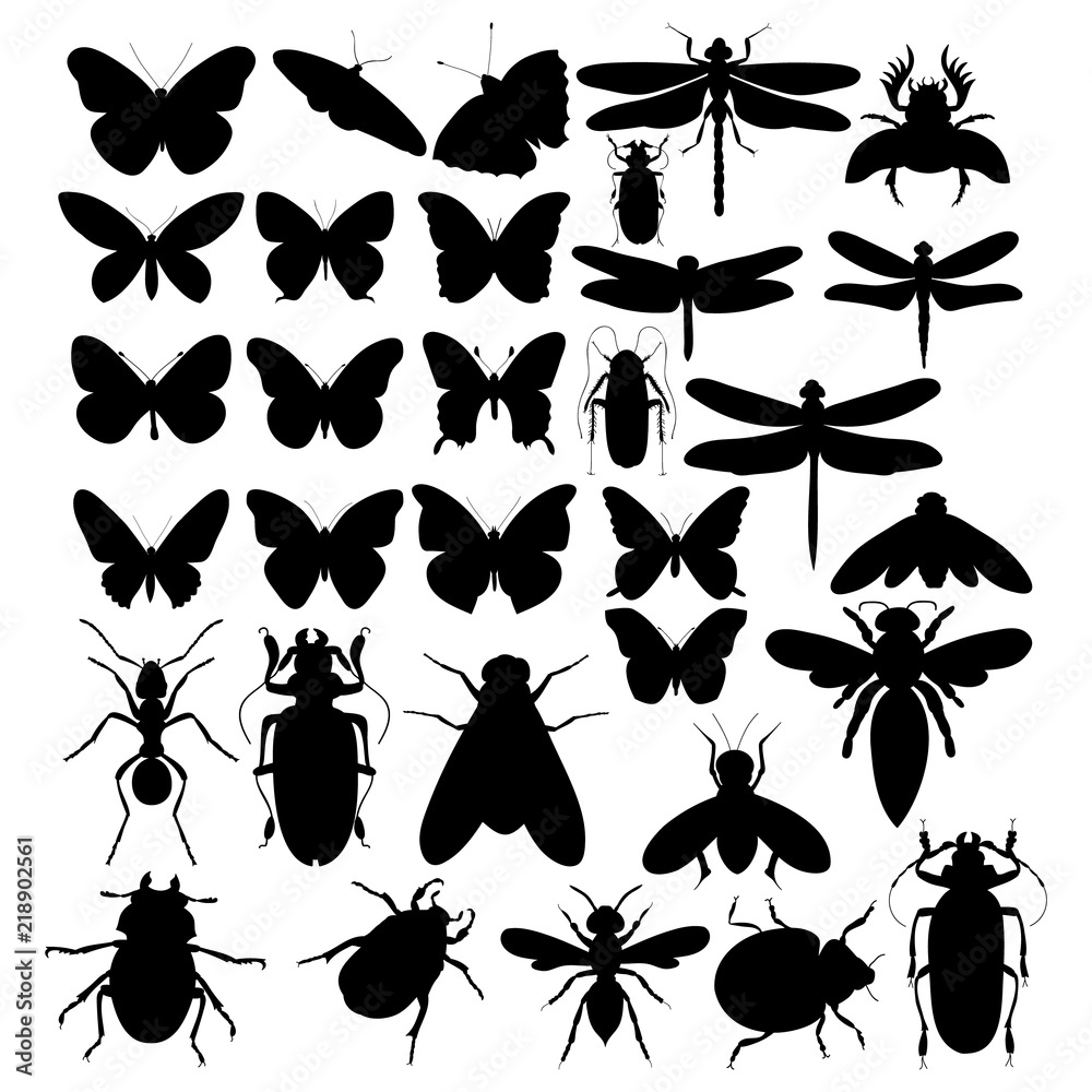 Obraz premium vector, isolated, silhouette of an insect, set