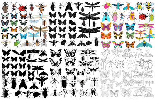 vector, isolated, insect, set, beetles, bee, ant, butterfly