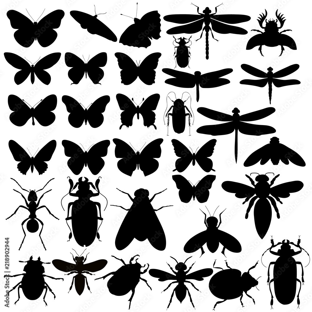 insects, beetles, butterflies, set of silhouettes insects, beetles, butterflies, set of silhouettes