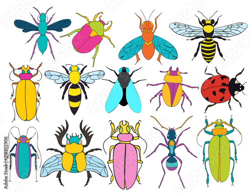 insects  beetles  butterflies  set  children  bright
