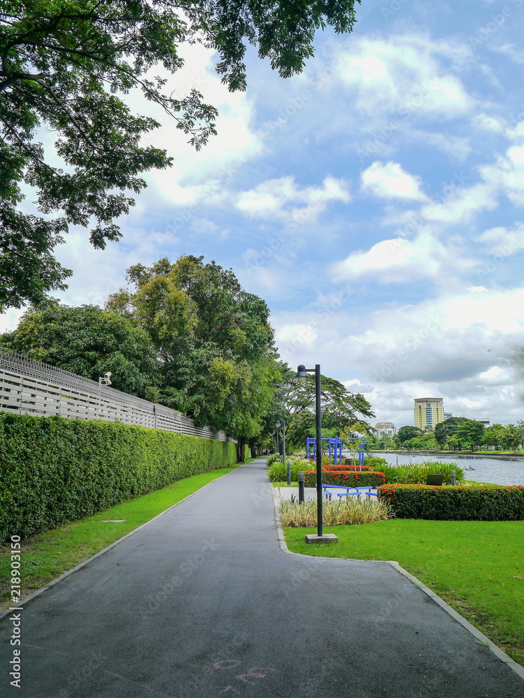 Naklejka premium Park on summer