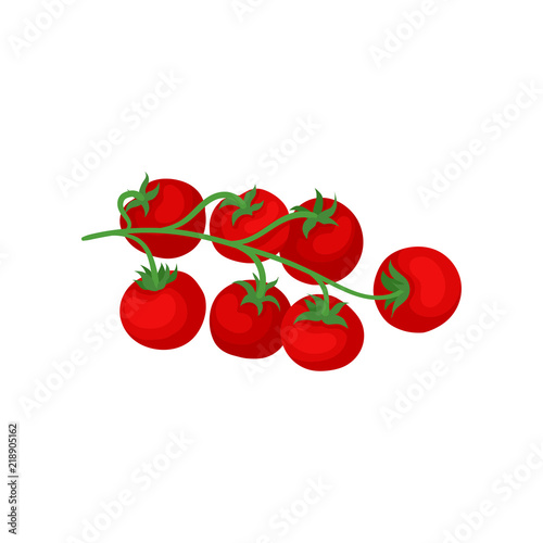 Branch with ripe red tomatoes. Natural and healthy vegetable. Organic food. Flat vector for product packaging