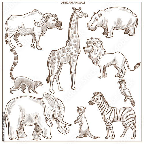 African animals and birds sketch. 