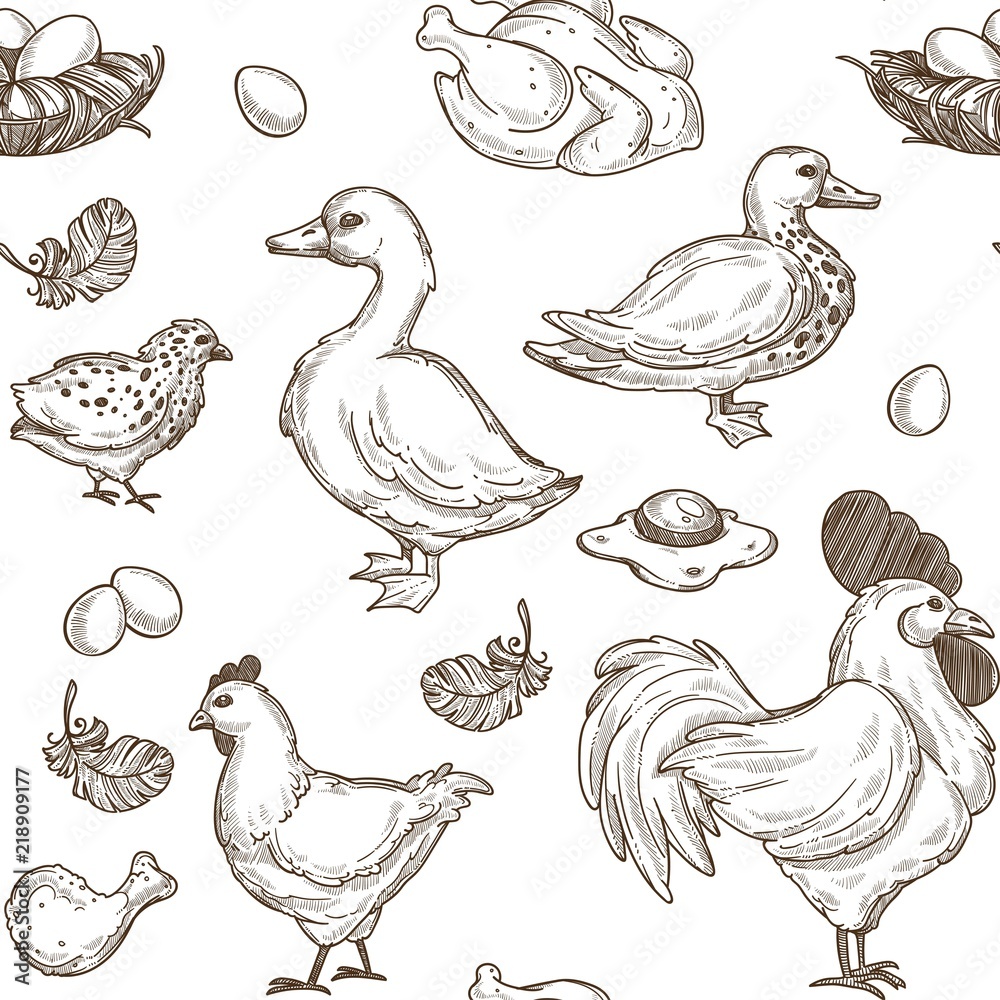 Naklejka premium Chicken and ducks vector sketch pattern background