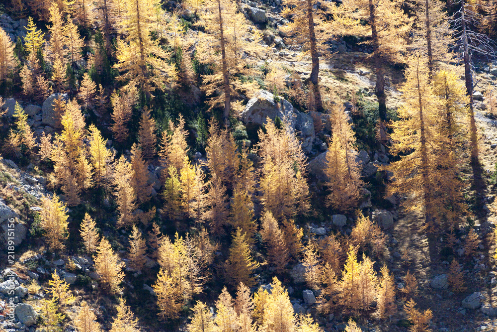 Automne