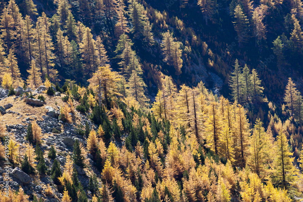 Automne