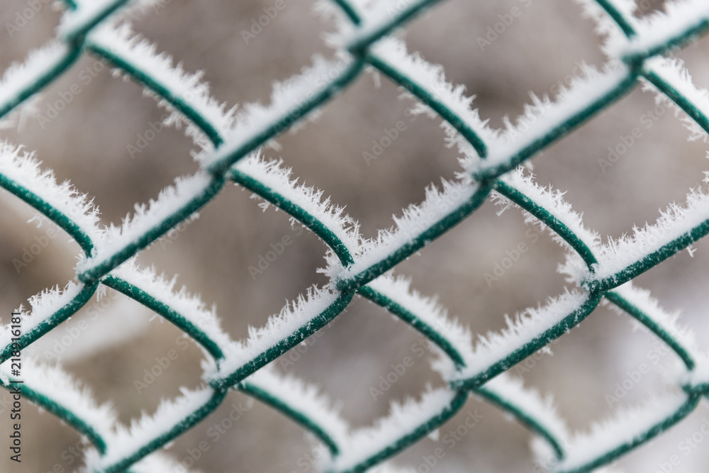 Fototapeta premium Frozen Barbed Wire