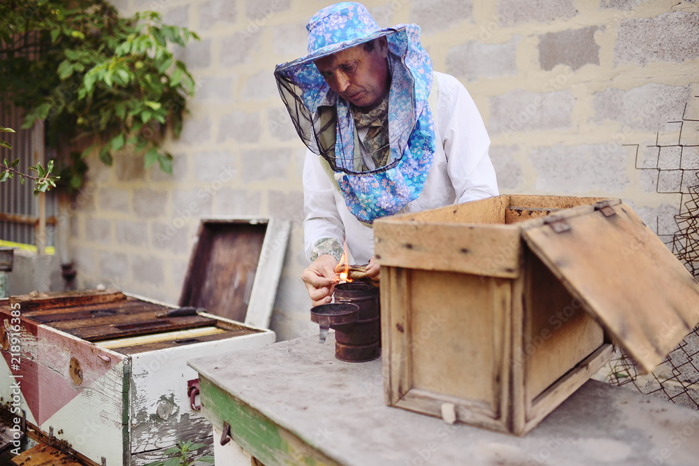 male bee-keeper with a smoke near an apiary or a beehive male bee-keeper with a smoke near an apiary or a beehive