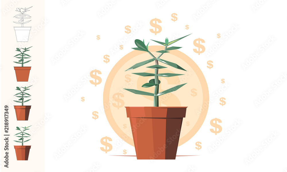 Money tree. Money tree.