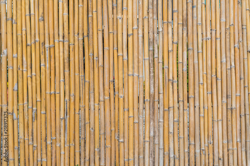 Pattern of bamboo fencing texture
