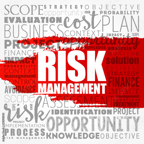 Risk Management word cloud collage, business concept background
