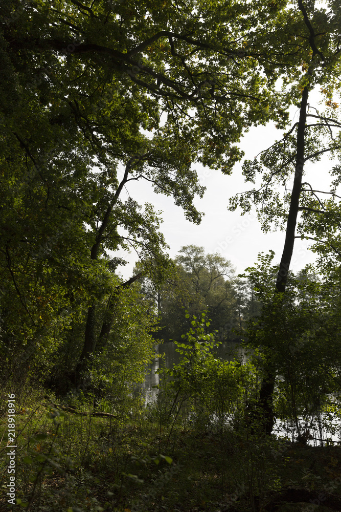 Obraz premium Landscape By Lake