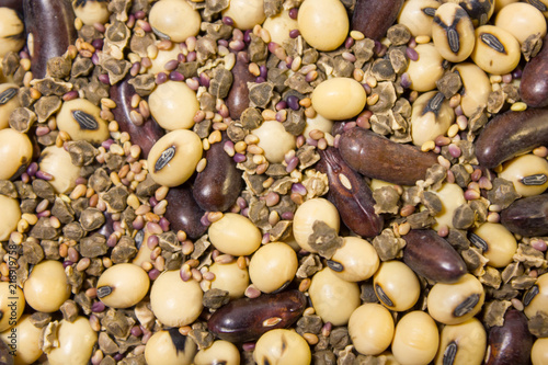 mélange de graines de soja betterave trèfle violet haricot