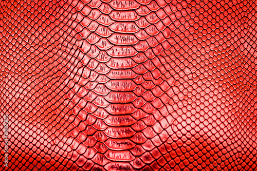 Red snake skin pattern texture