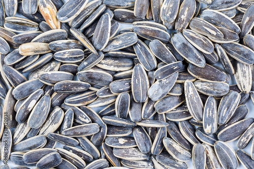 Fotografie Sunflower seed for nature