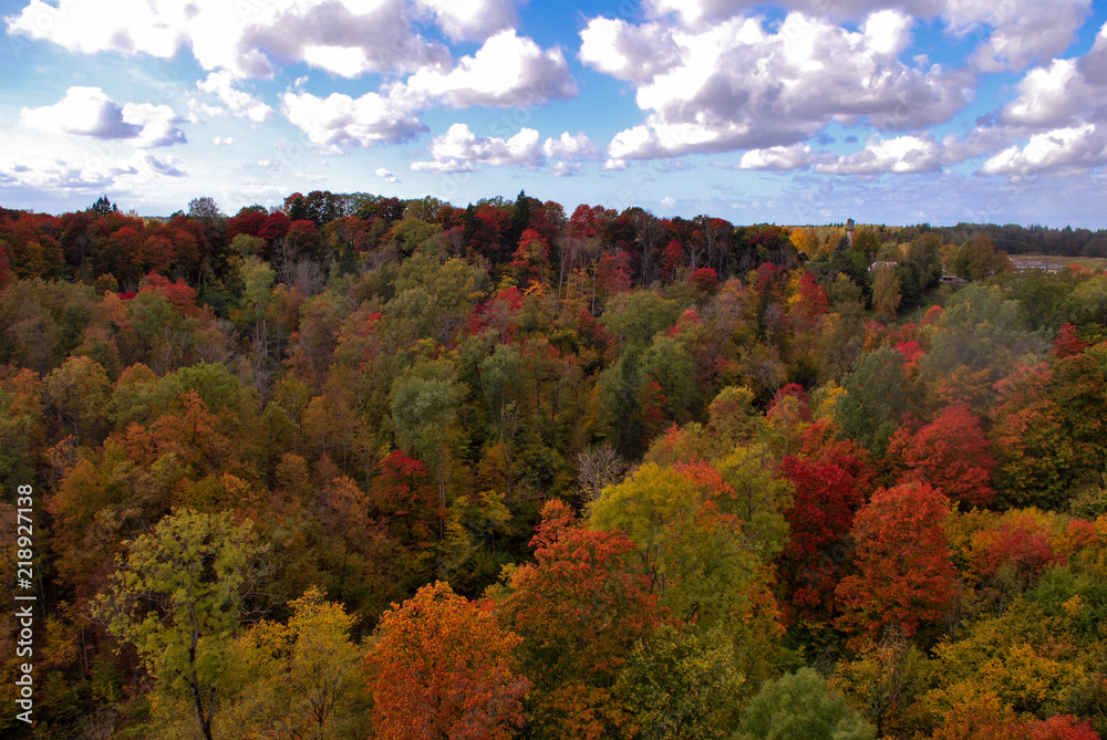 Aerial View of  Forest and River Gauja in Autumn in Sigulda, Latvia