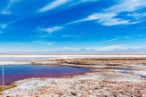 Wallpaper Mural Landscape in Atacama desert, Salt Lake, Chile. Copy space for text. Torontodigital.ca