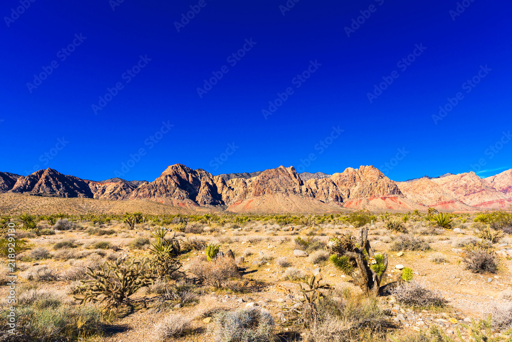 View of Death Valley, California, USA. Copy space for text.