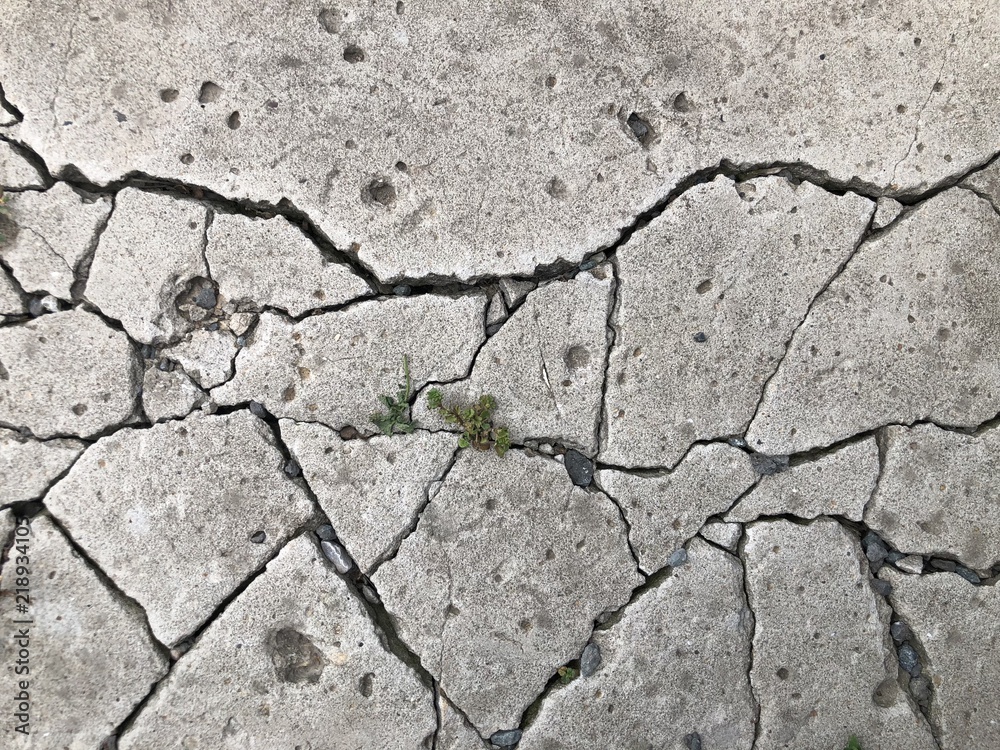 A cracked white stone with green grass that grows from cracks A cracked white stone with green grass that grows from cracks