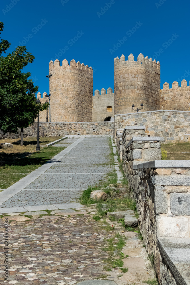 View of the magnificent medieval wall of the city of Avila, Puerta de la Adaja. Vertical photography that runs up some steps to the top of the photograph, looking at the wall.