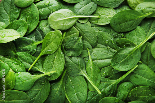 Spinach leafs background