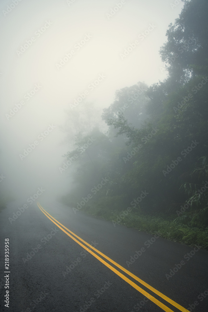 country road and journey way of traveller to the nature in the mountain and the rainforest.