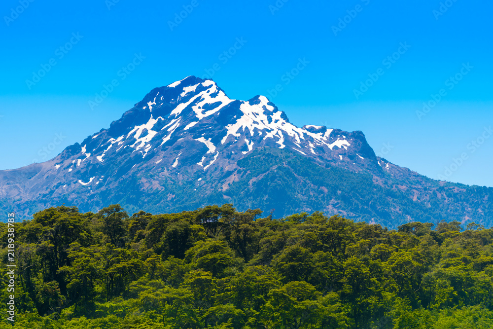 View of the mountain landscape in national park Vicente Perez Rosales, Patagonia, Chile. Copy space for text.