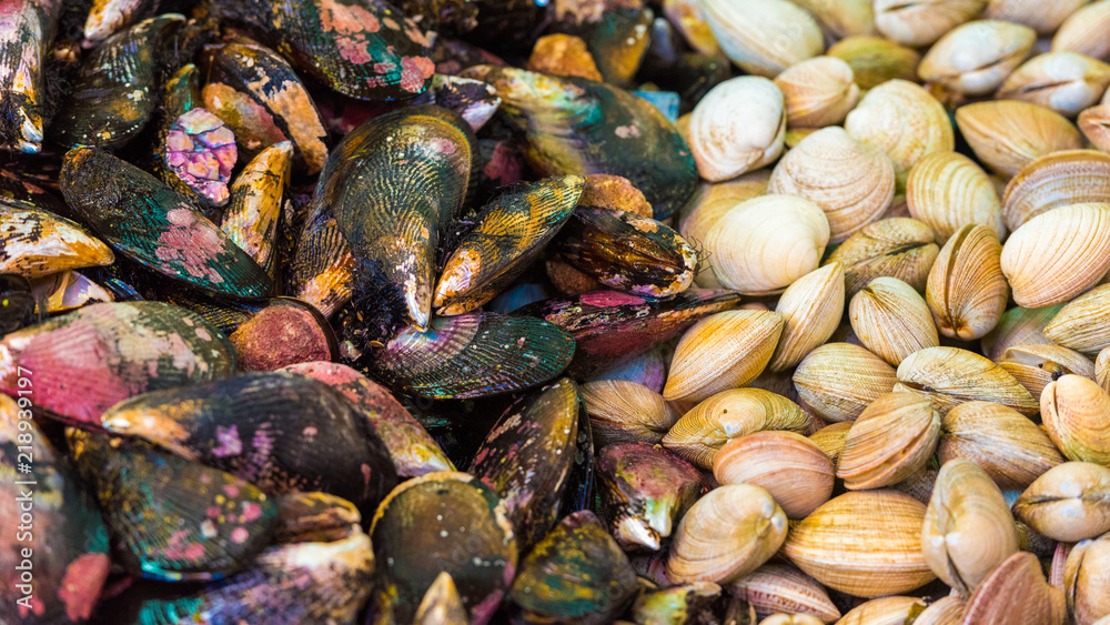 Mollusks only from the ocean, Puerto Montt, Chile. Close-up. Mollusks only from the ocean, Puerto Montt, Chile. Close-up.