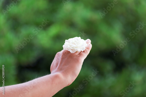 White flower held in hand with green background