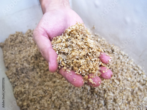 Spent Grain in hand : Homebrewing