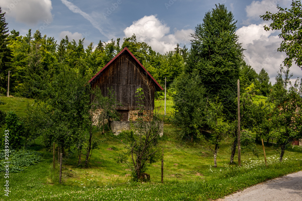 Landscape view of wooden hut souranded with green meadow and green trees. Forest in the background..Gorski kotar, Summer in Croatian mountains. Landscape view of wooden hut souranded with green meadow and green trees. Forest in the background..Gorski kotar, Summer in Croatian mountains.