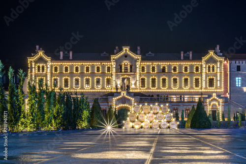 Mimi Castle main building at night photo