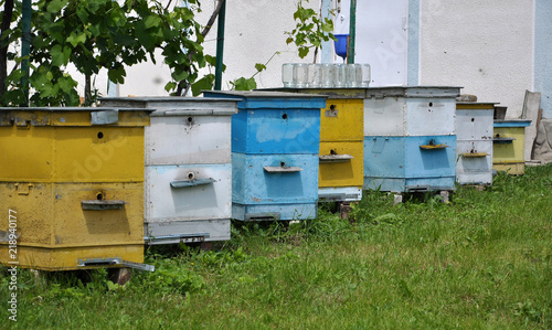Private apiary near the manor © orestligetka