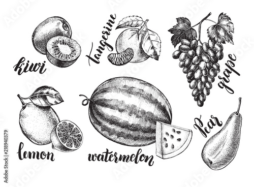 Ink hand drawn set of fruits - watermelon, grapes, kiwi fruit, tangerine, lemon, pear. harvest elements collection with brush calligraphy style lettering. Vector illustration.