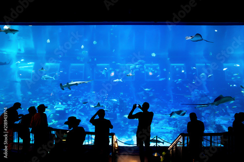 Silhouettes of people group enjoying views of underwater life in aquarium