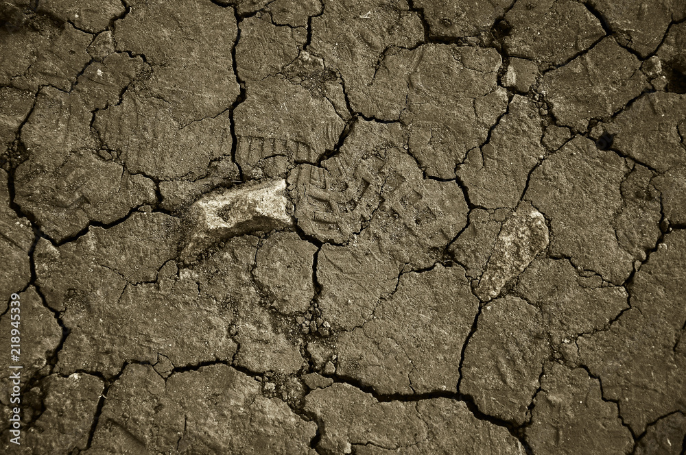 Dry cracked earth. The desert. Background. It's hot, the global shortage of water on the planet. Dry cracked earth. The desert. Background. It's hot, the global shortage of water on the planet.