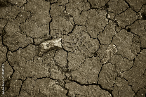 Dry cracked earth. The desert. Background. It's hot, the global shortage of water on the planet.