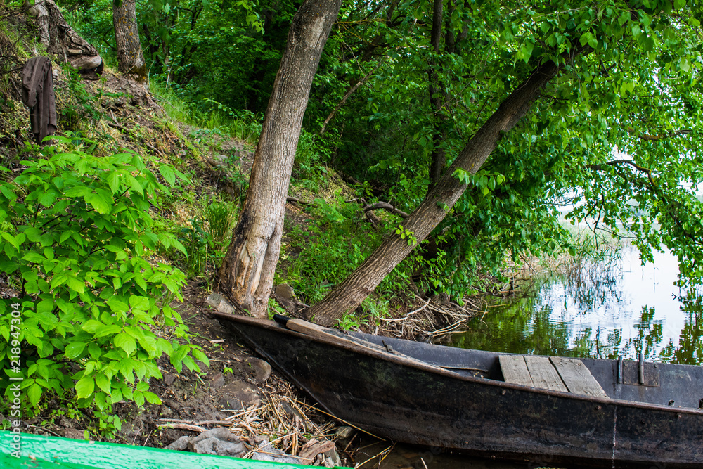 A simple landscape with green leafy plants and trees against the background of a river with fresh water. In the title role - an old, wooden and shabby boat of local residents A simple landscape with green leafy plants and trees against the background of a river with fresh water. In the title role - an old, wooden and shabby boat of local residents