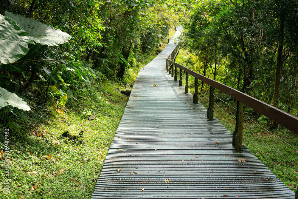 Pathway of terrace hiking trail in Taroko gorge national park Hualien Taiwan