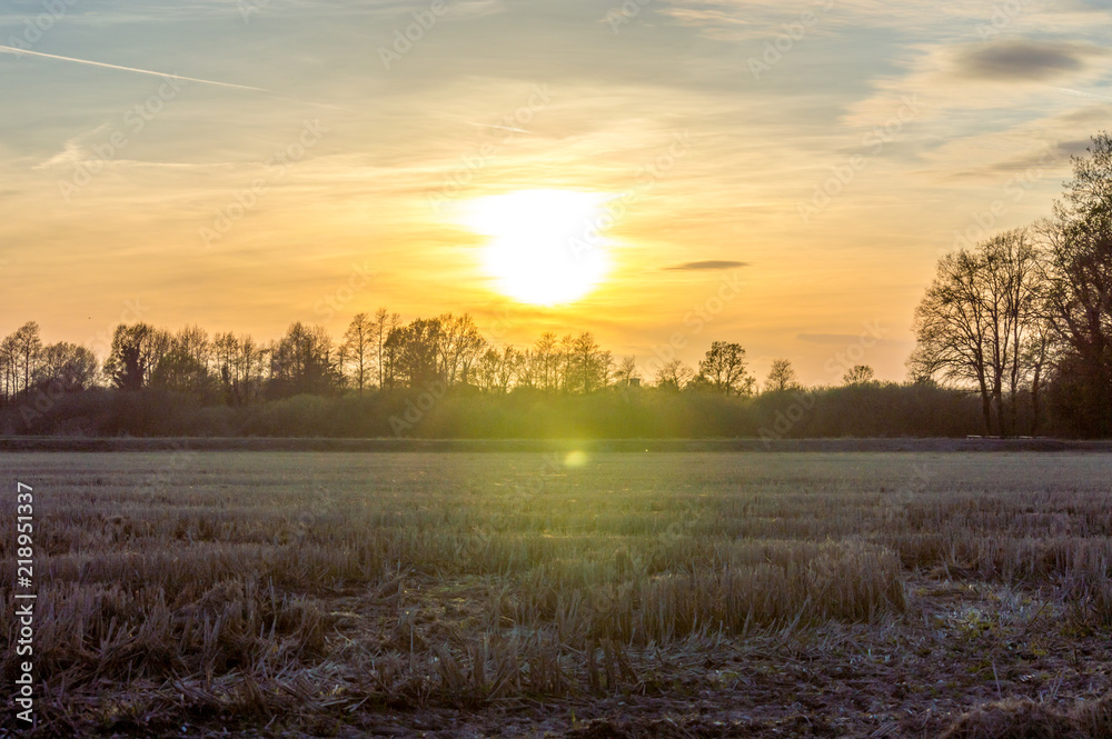 Countryside in the Ticino river natural park during winter before sunset Countryside in the Ticino river natural park during winter before sunset