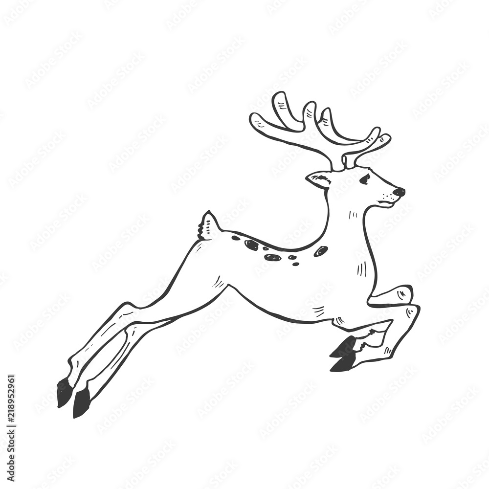 Christmas deer vector illustration isolated on white background. Hand drawn Christmas symbol. Doodle style.