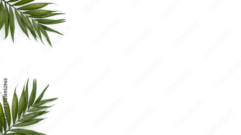 Beautiful composition with palm leaves on white background Beautiful composition with palm leaves on white background