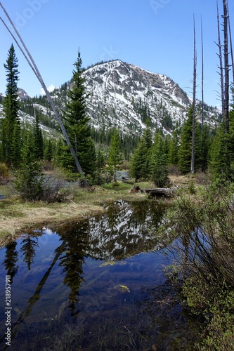 a peaceful woodland scene with a snowy mountain in the background reflected on a clear, still pond with pine trees in the middle ground